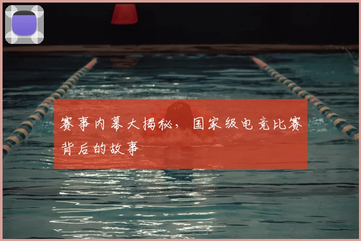 赛事内幕大揭秘,国家级电竞比赛背后的故事