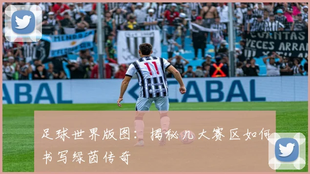 足球世界版图：揭秘几大赛区如何书写绿茵传奇